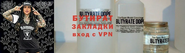 прущие грибы Гусиноозёрск