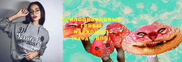 ПСИЛОЦИБИНОВЫЕ ГРИБЫ Алексин