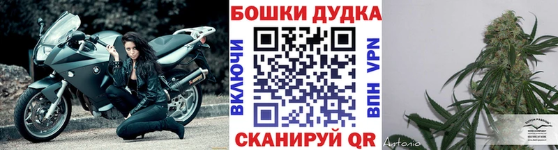 KRAKEN ссылки  Заволжск  даркнет как зайти  что такое   Шишки марихуана сатива 